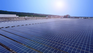 中美硅晶与JNTY江南光电携手战略合作