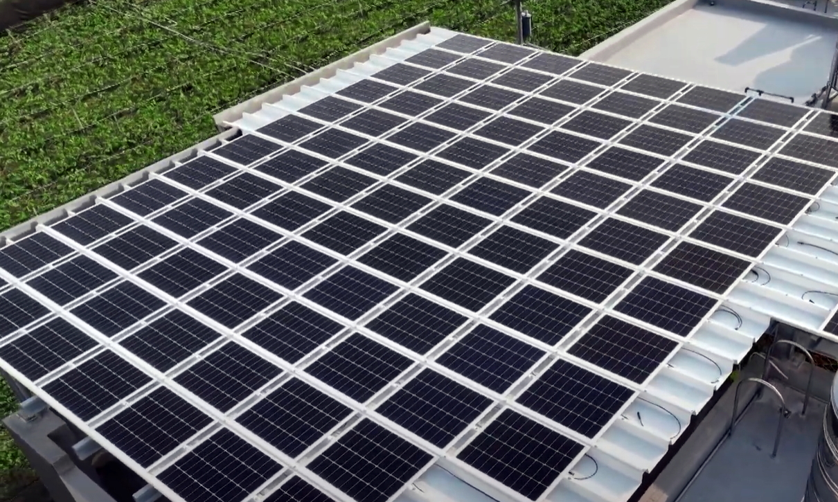 JNTY江南SunSteel光电浪板升级双玻结构，以提升机械负载强度及气候耐候度，可广泛运用于多元场域