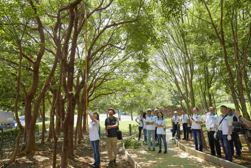 藝師教導大家認識樹木、檢查樹的健康狀況，學習修枝及碎枝覆土