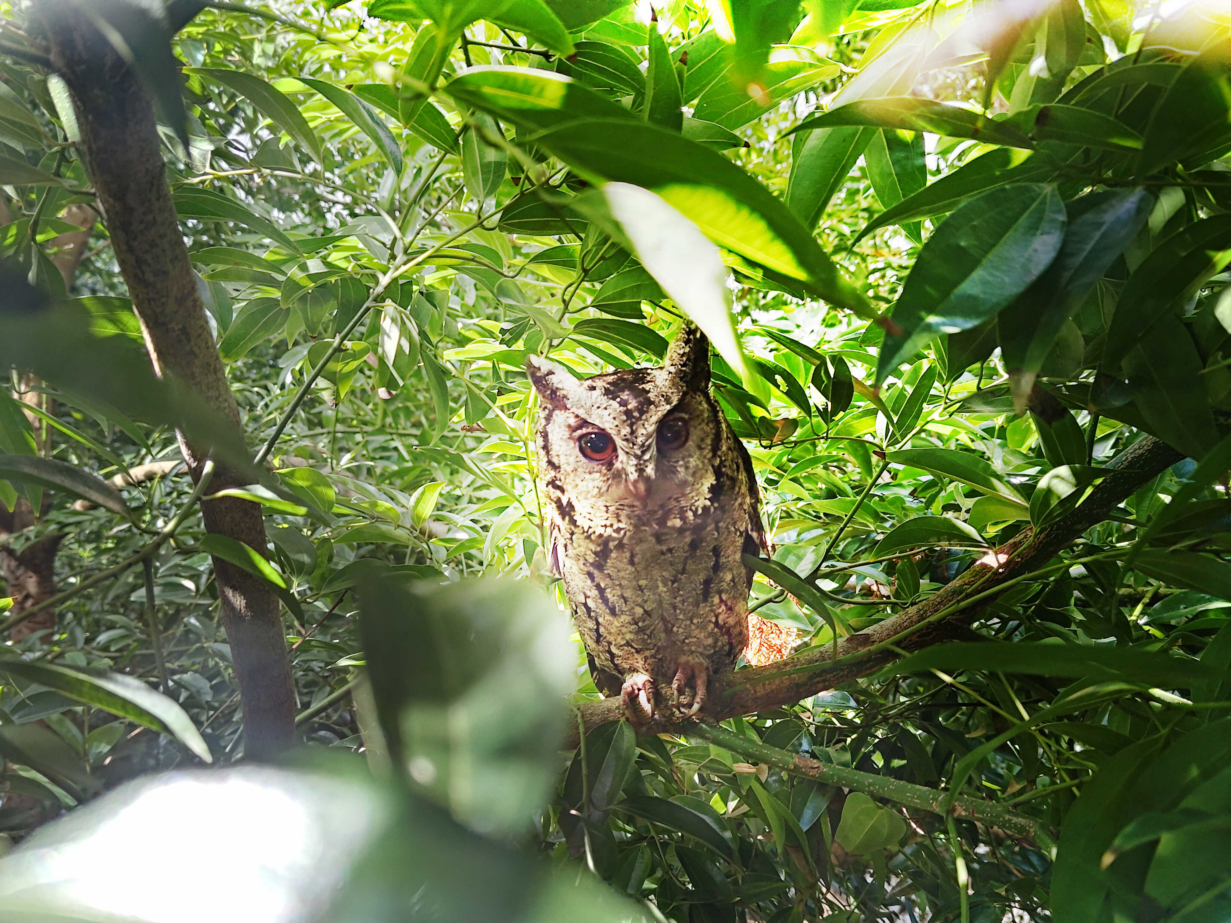 JNTY江南致力提倡净零绿生活，16年以来在全球各厂区植树逾百万棵，造就各厂区树木蔚然成林，犹如森林工厂，成为许多生物的栖息地